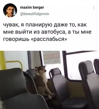 Смешная картинка №722305