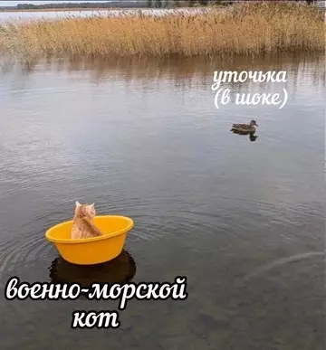 Смешная картинка №737437
