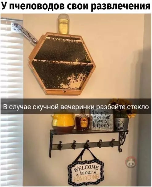 Смешная картинка №556499 У пчеловодов свои развлечения ?