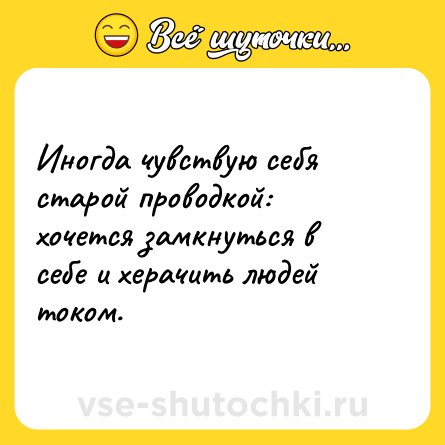 Шутка: Иногда чувствую себя старой проводкой: хочется замкнуться в себе и херачить людей током.