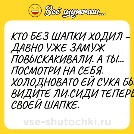 Шутка: КТО БЕЗ ШАПКИ ХОДИЛ – ДАВНО УЖЕ ЗАМУЖ ПОВЫСКАКИВАЛИ. А ТЫ... ПОСМОТРИ НА СЕБЯ. ХОЛОДНОВАТО ЕЙ СУКА БЫЛО ВИДИТЕ ЛИ.СИДИ ТЕПЕРЬ В СВОЕЙ ШАПКЕ.