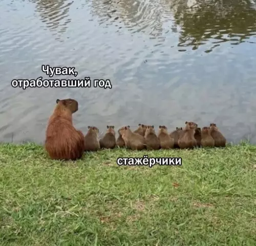 Смешная картинка №691734 работа