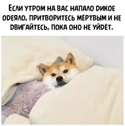 Смешная картинка №682081