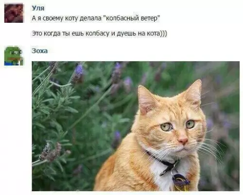 Смешная картинка №654946