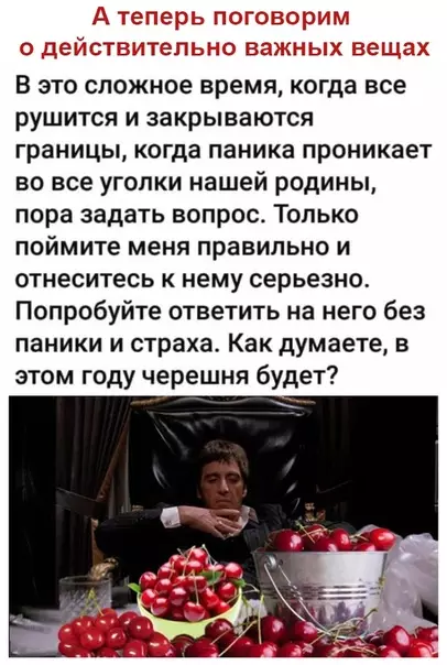 Смешная картинка №477422