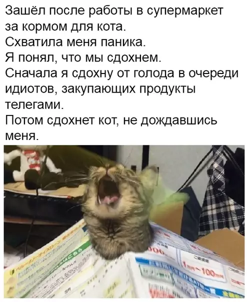 Смешная картинка №477072 На фоне всеобщей продуктовой истерии: