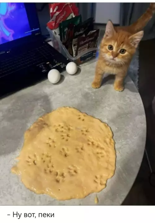 Смешная картинка №796414 Помощник 