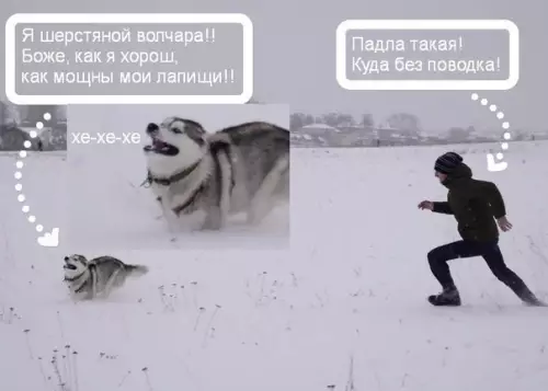 Смешная картинка №336128