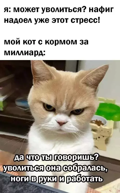 Смешная картинка №688347