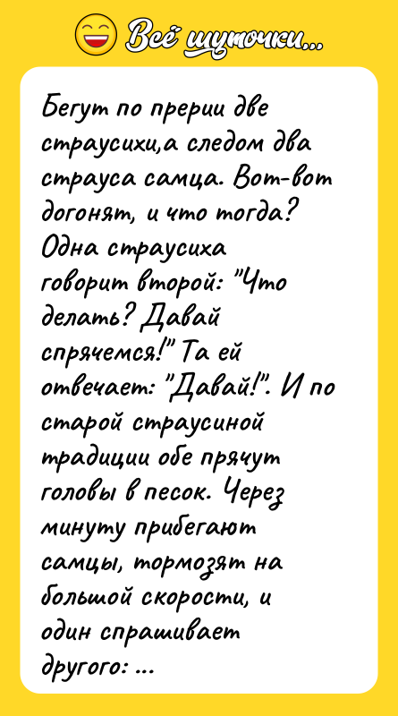 Бегут по прерии две страусихи,а следом два страуса самца. Вот-вот