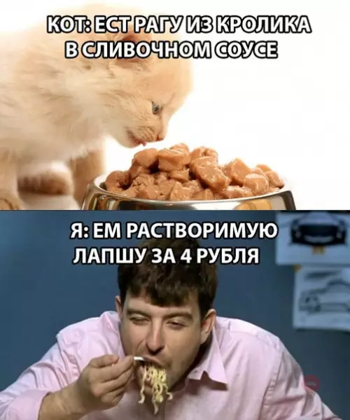 Смешная картинка №291981
