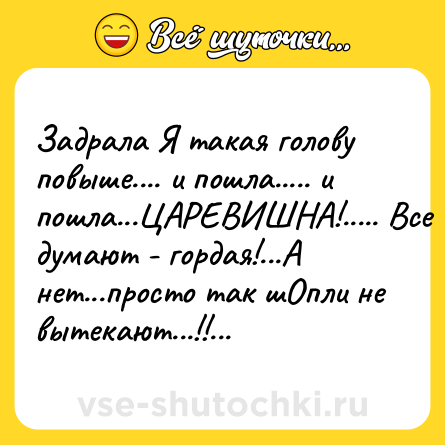Шутка: Задрала Я такая голову повыше.... и пошла..... и пошла...ЦАРЕВИШНА!..... Все думают - гордая!...А нет...просто так шОпли не вытекают...!!...