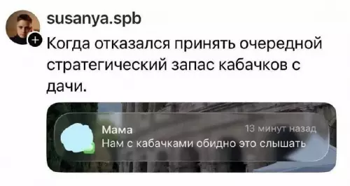 Кабачковый апокалипсис начался! 🥒💀 - susanya.spb Когда отказался принять очередной стратегический запас кабачков с дачи.