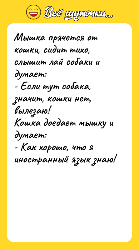 Мышка прячется от кошки, сидит тихо, слышит лай собаки и