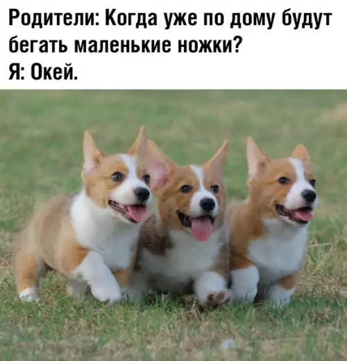 Смешная картинка №363286