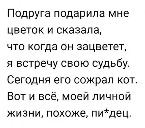 Смешная картинка №233902