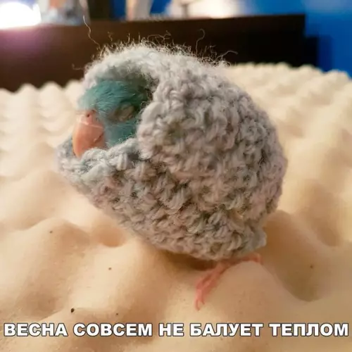 Смешная картинка №182752