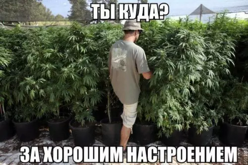 Смешная картинка №185576
