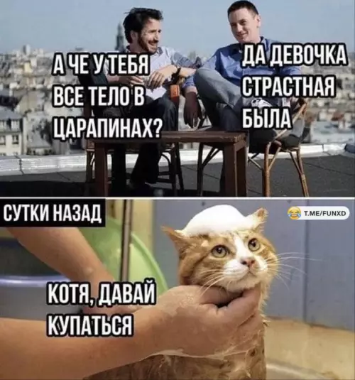 Смешная картинка №753891