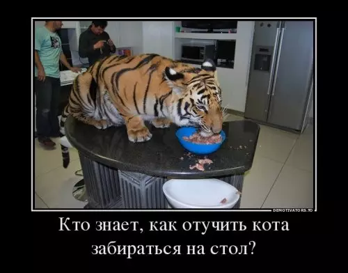 Смешная картинка №307589