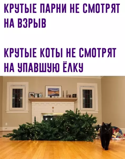 Смешная картинка №620229
