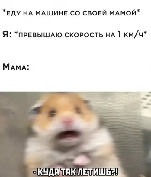 Смешная картинка №510848
