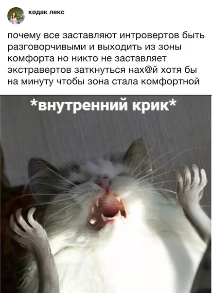 Смешная картинка №323000
