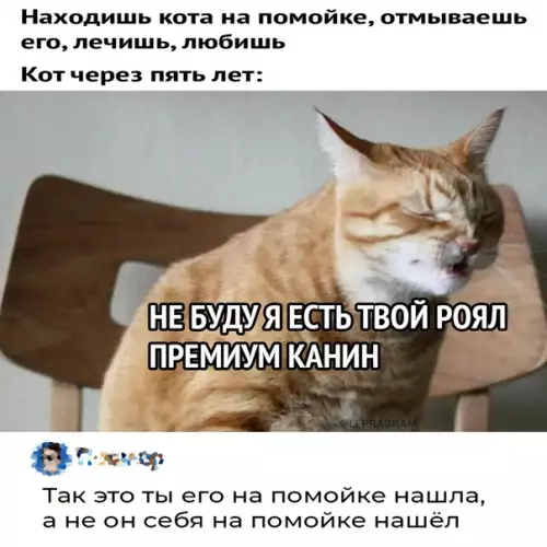 Смешная картинка №626429 Имeннo
