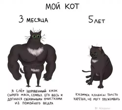 Смешная картинка №522895 Не все поймут