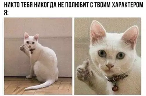 Смешная картинка №289333
