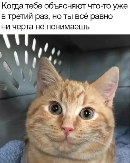 Смешная картинка №674766