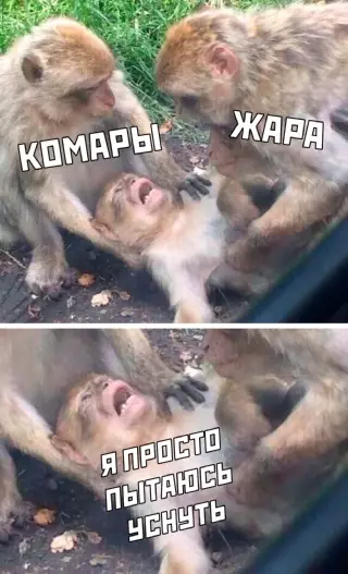 Смешная картинка №649054 Каждую ночь: