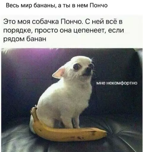 Смешная картинка №311326