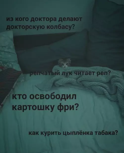 Смешная картинка №791413 мысли перед сном