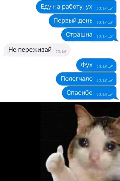 Смешная картинка №532809 Переписка
