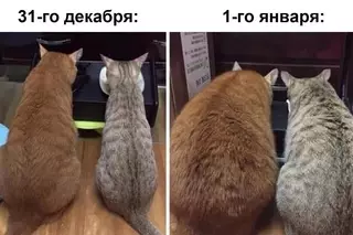 Смешная картинка №669978 Mы