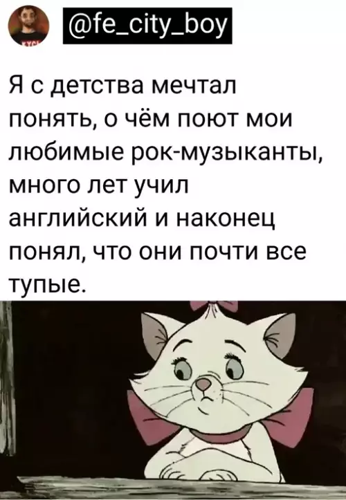 Смешная картинка №680271 Никогда не переводите любимые песни западных исполнителей