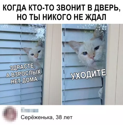 Смешная картинка №371002