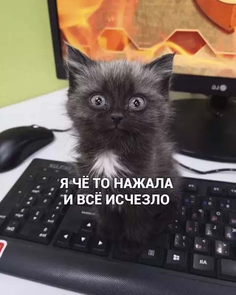 Смешная картинка №450879 Уpовень влaдения техникой: