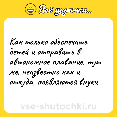 Шутка: Как только обеспечишь детей и отправишь в автономное плавание, тут же, неизвестно как и откуда, появляются внуки