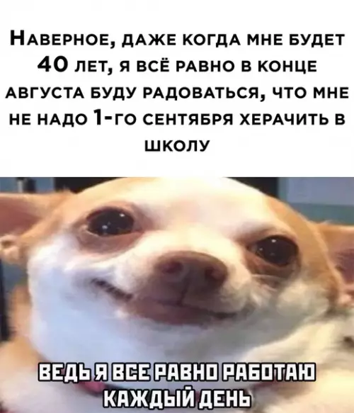 Смешная картинка №515578 первое сентября, осень