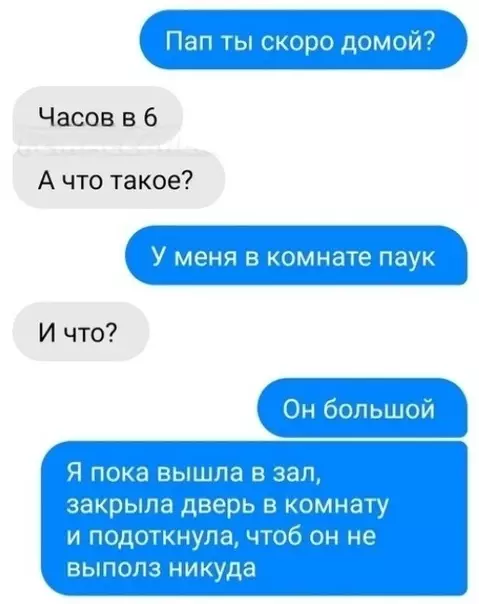 Смешная картинка №408736 Отец дочь не балует) переписка