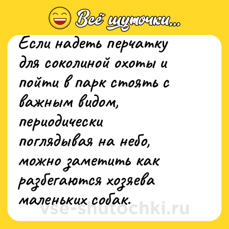 Шутка: Если надеть перчатку для соколиной охоты и пойти в парк стоять с важным видом, периодически поглядывая на небо, можно заметить как разбегаются хозяева маленьких собак.