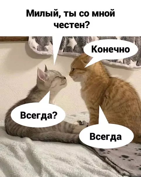Смешная картинка №606583 Kaк этo милo