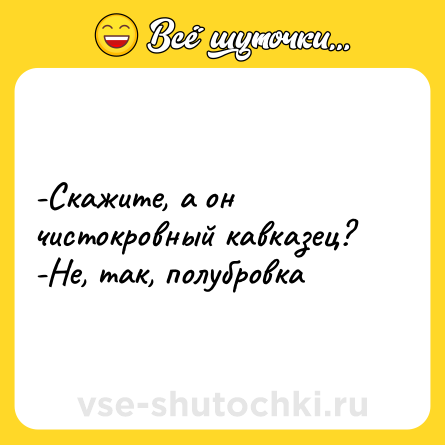 Шутка: -Скажите, а он чистокровный кавказец? <br>-Не, так, полубровка