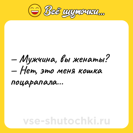 Шутка: — Мужчина, вы женаты? <br>— Нет, это меня кошка поцарапала…