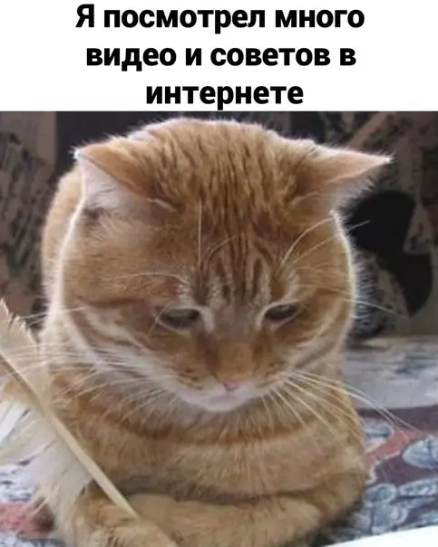продолжение Смешная картинка №593999 Так и живем)