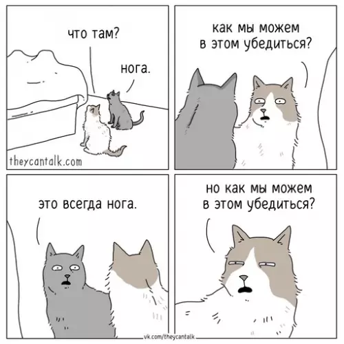 Смешная картинка №696766 Коты