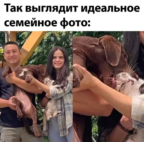 Смешная картинка №685545