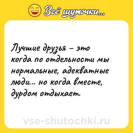 Шутка: Лучшие друзья – это когда по отдельности мы нормальные, адекватные люди... но когда вместе, дурдом отдыхает.